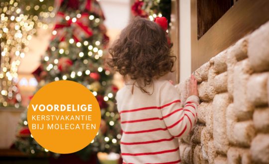 Kerstkorting Molecaten